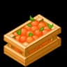Oranges
