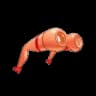 Curious