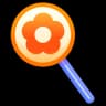 Orange Petal