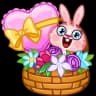 Mia Bunny