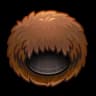 Brown Fur