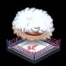 Fighting Ring