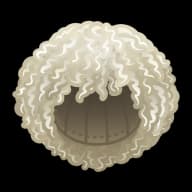Long Curls — Khabib’s Papakhas