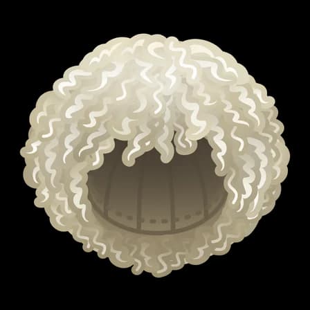 Long Curls — Khabib’s Papakhas Telegram gift model