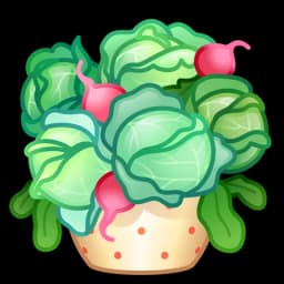 Cabbage