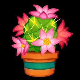 Cactus