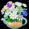Chamomile