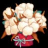 Cotton