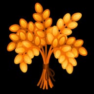 Harvest — Lush Bouquets