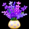 Lavender