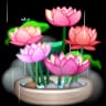 Lotus Garden