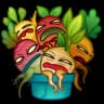 Mandrake
