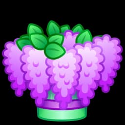 Purple Lilac