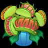 Venus Flytrap