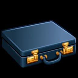 Case