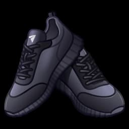 Durov's Sneakers