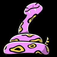 Jungle — Pet Snakes
