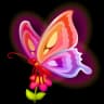 Aurora Moth