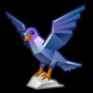 Pigeon — Rare Birds