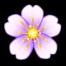 Aubrieta
