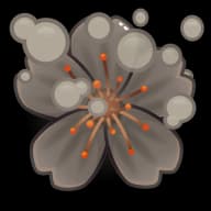 Big Bang — Sakura Flowers