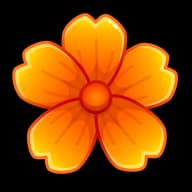 Clivia — Sakura Flowers