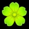 Hellebore
