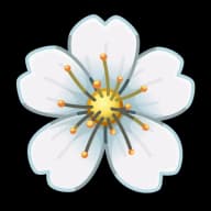 Lunaris — Sakura Flowers