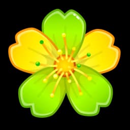 Oxalis