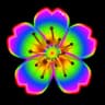 Party Bloom