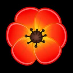 Red Poppy