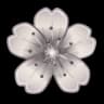 Silveria