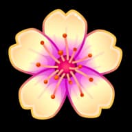 Vanilla — Sakura Flowers