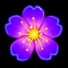 Violet Iris