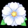 White Peony