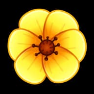 Yellow Poppy — Sakura Flowers