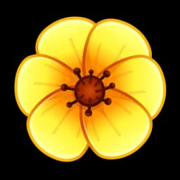 Yellow Poppy