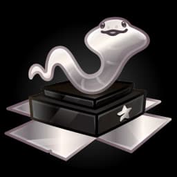 Silver Award