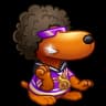 Groove Pup