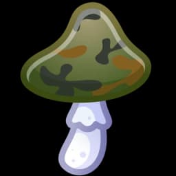 Camo