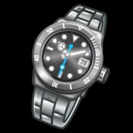 Platinum — Swiss Watch
