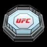 UFC Octagon