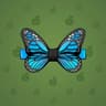 Blue Morpho