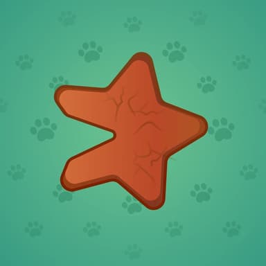 Oatmeal Star