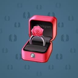 Velvet Rose