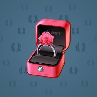 Velvet Rose