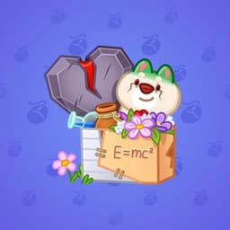Professor