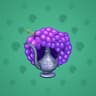 Vineyard Crown