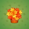 Maple Leaves
