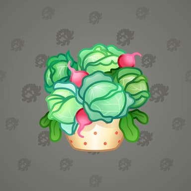Cabbage
